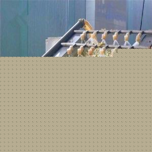 洋槐花市場綜述 價格、品牌廠家與預(yù)包裝食品批發(fā)指南